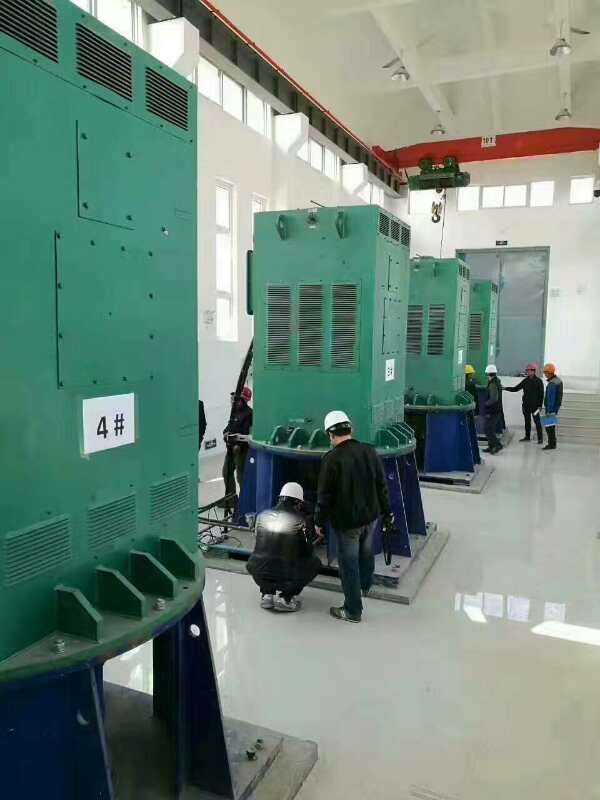Y5005-8某污水处理厂使用我厂的立式高压电机安装现场