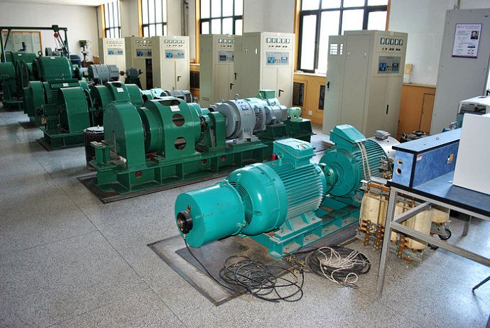 Y5005-8某热电厂使用我厂的YKK高压电机提供动力
