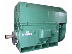 Y5005-8YKK系列高压电机安装尺寸