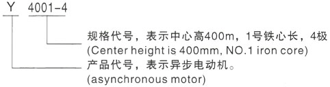 西安泰富西玛Y系列(H355-1000)高压Y5005-8三相异步电机型号说明