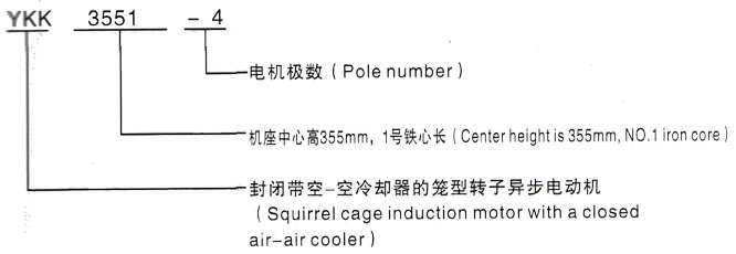 YKK系列(H355-1000)高压Y5005-8三相异步电机西安泰富西玛电机型号说明